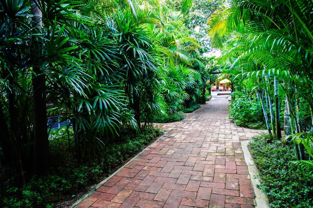 Baanpong Lodge San Kamphaeng Екстериор снимка